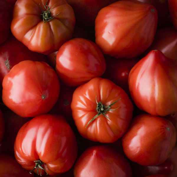 photographe culinaire legumes terroir tomates