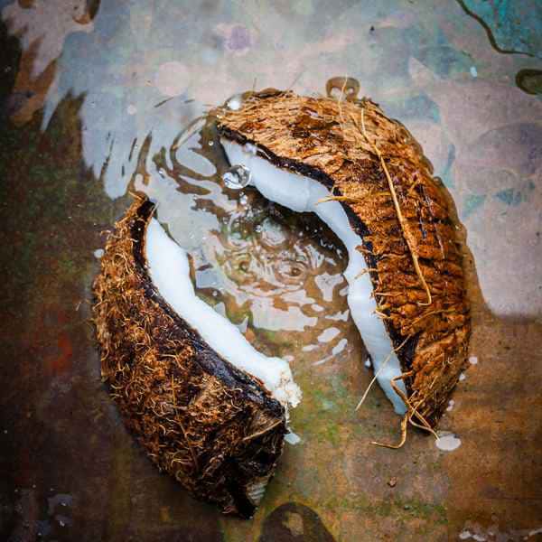 photographe culinaire noix coco