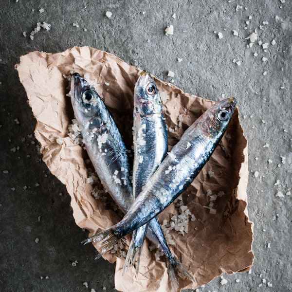 photographe culinaire sardines sel