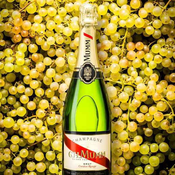 photographe nature morte bouteille mumm champagne pernod