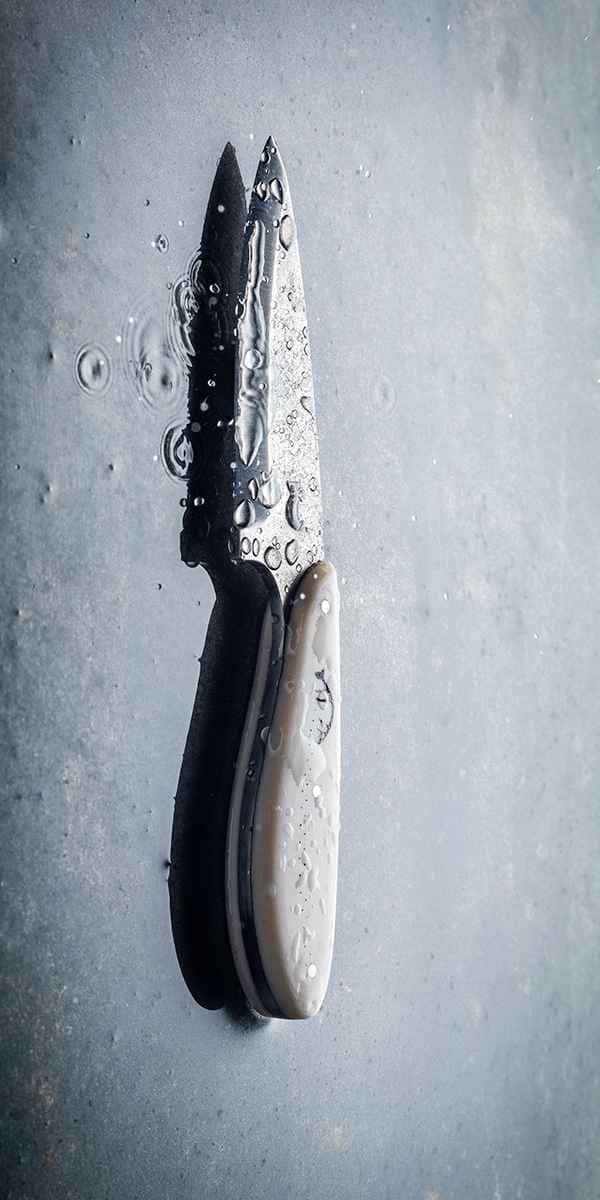 photographe nature morte couteau renard arctique paris